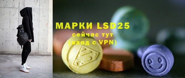 крисы Аркадак