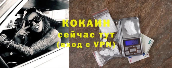 крисы Аркадак