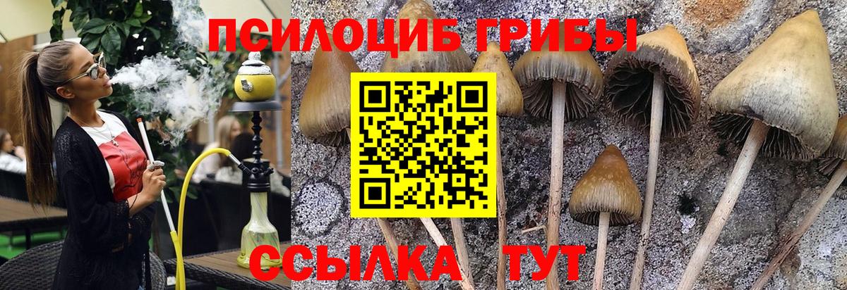 Галлюциногенные грибы мицелий Тулун