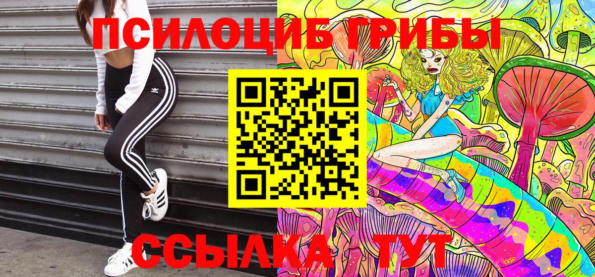 Тулун  Галлюциногенные грибы Psilocybine cubensis  даркнет сайт  Вход с VPN 